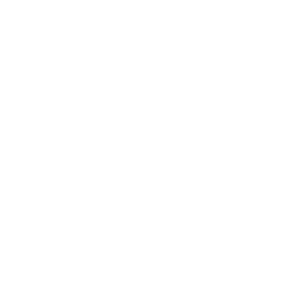 New Shimazaki Sentinel Icon - White Line